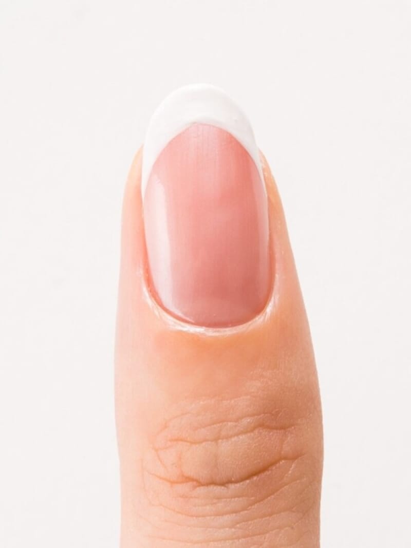 左右美しく整ったライン