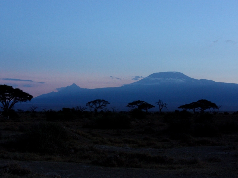 bluekilimanjaro