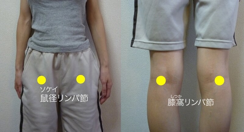 リンパ節の位置