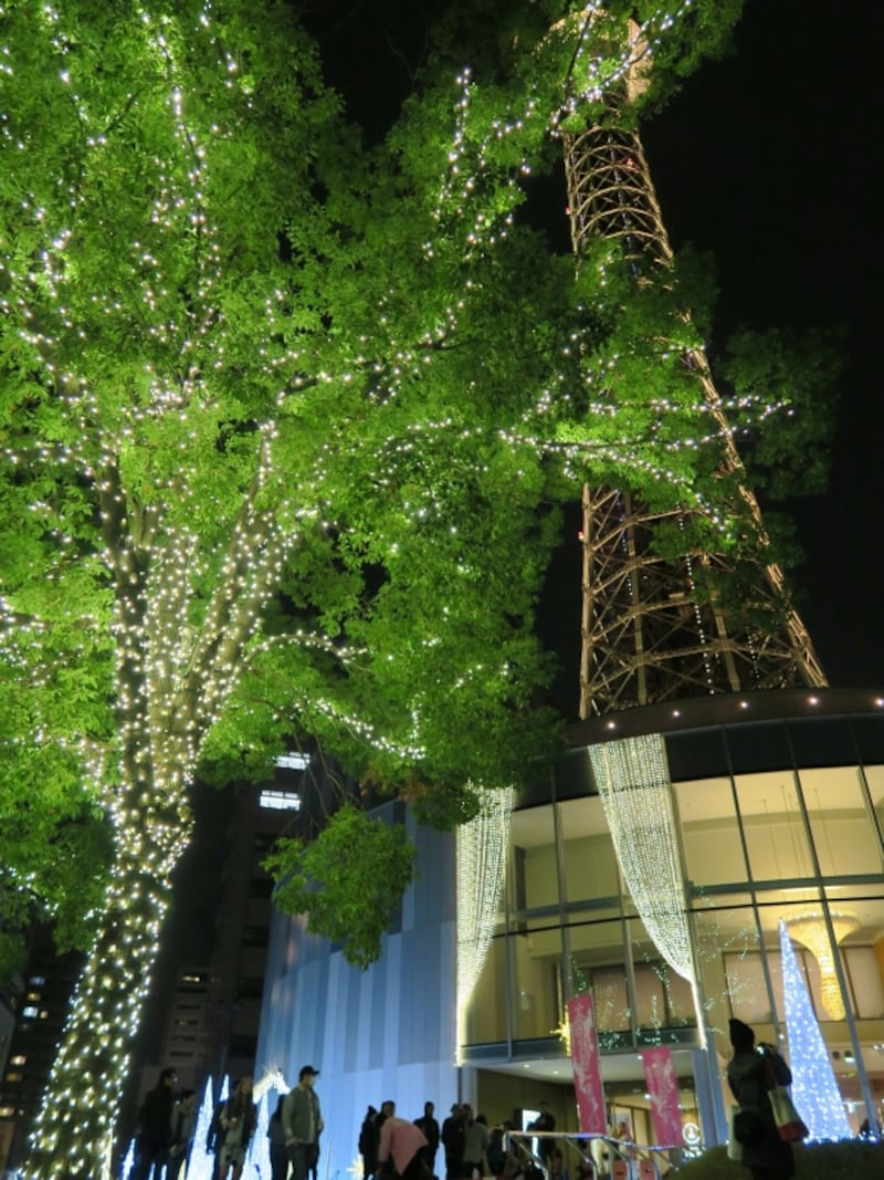 タワーの中央部に星が降り注ぐようなイルミネーションが点灯します