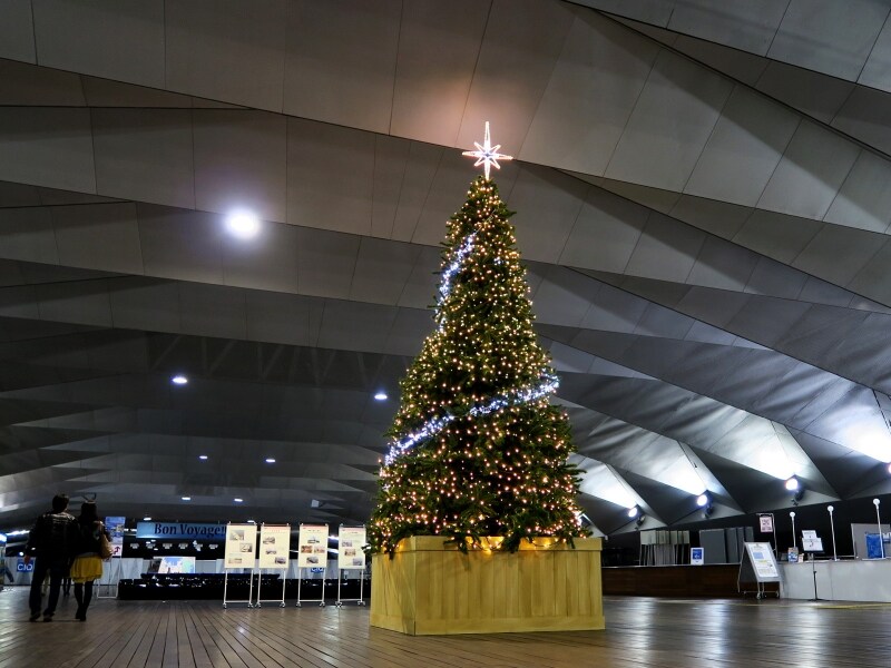 2階ロビーではツリーが光り輝きます