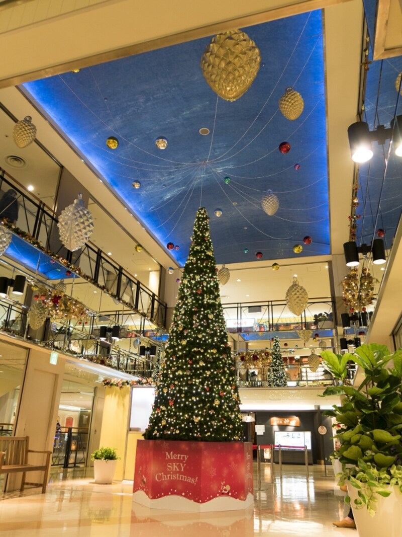 10階「BIG TREE」。天井の装飾にも注目