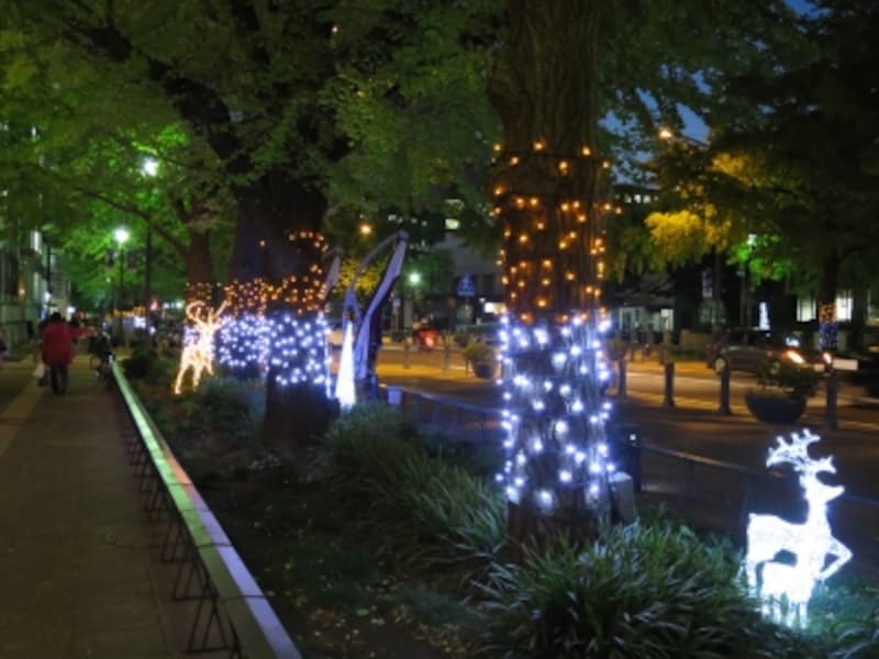 ノスタルジックな雰囲気が漂う、日本大通りのイルミネーション