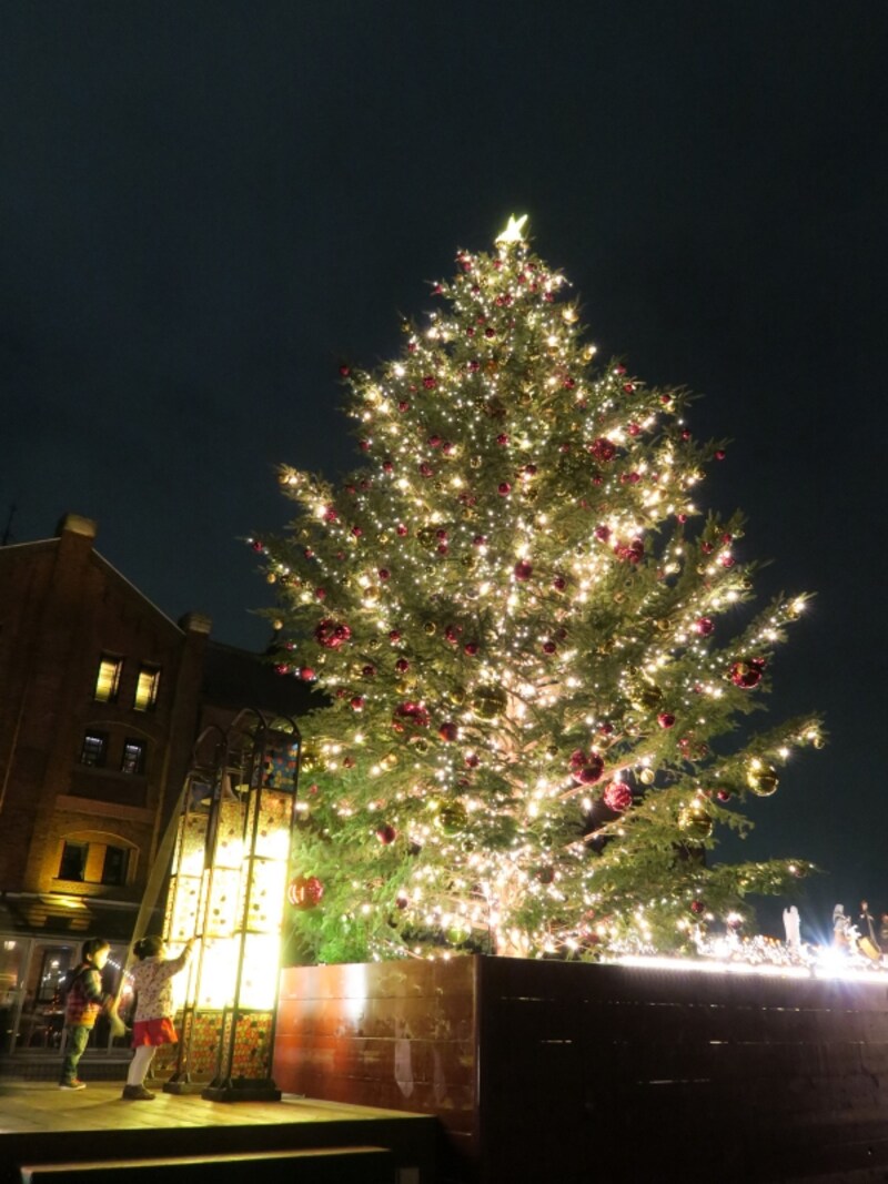 高さ約10mのモミの木を使ったクリスマスツリーも点灯