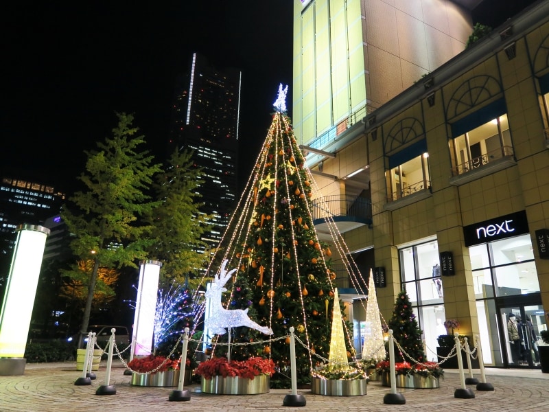 桜木町駅前を彩る、クロスゲートのクリスマスツリー