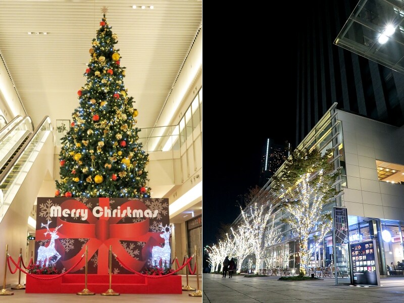 左:館内にある高さ約6mのツリーundefined右:ゴールドに輝く並木イルミネーション