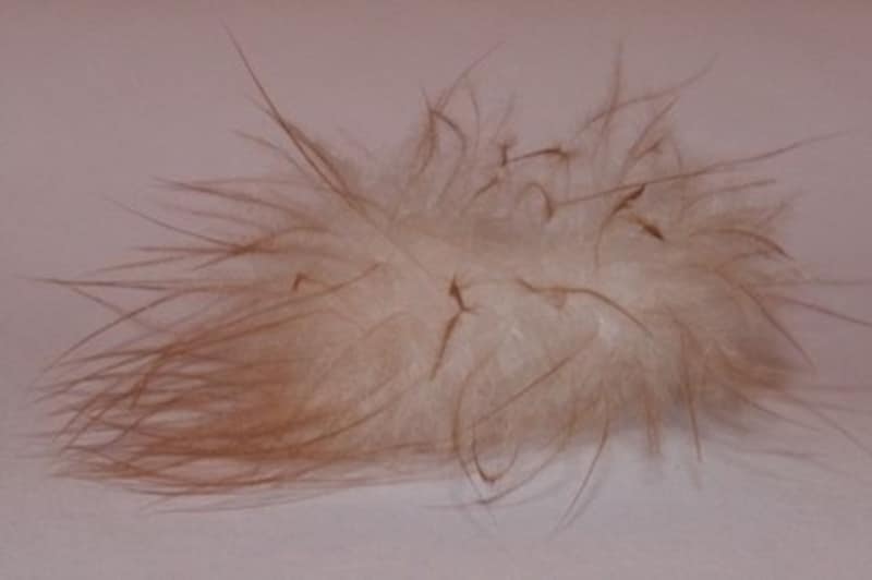 良質なダウンは同じ重量でもカサがある