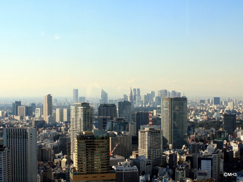 バルコニーからの眺望