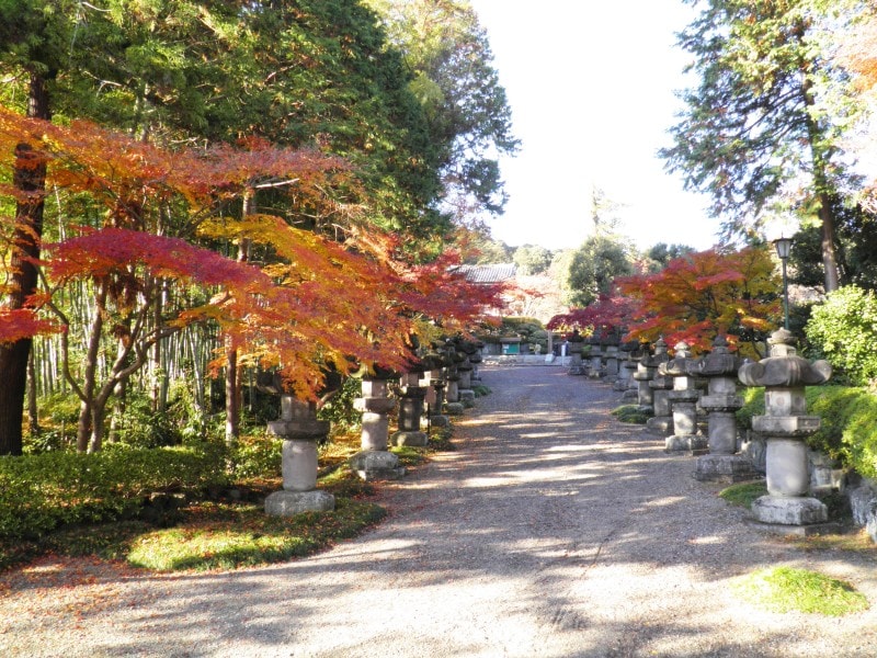 左右の両側が紅葉で彩られる能仁寺の参道