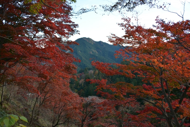 白雲山の紅葉