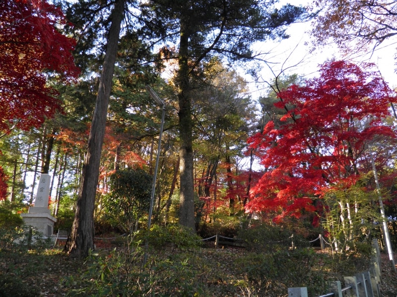 天覧山の紅葉