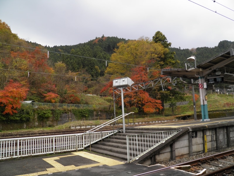 紅葉に包まれる西武吾野駅