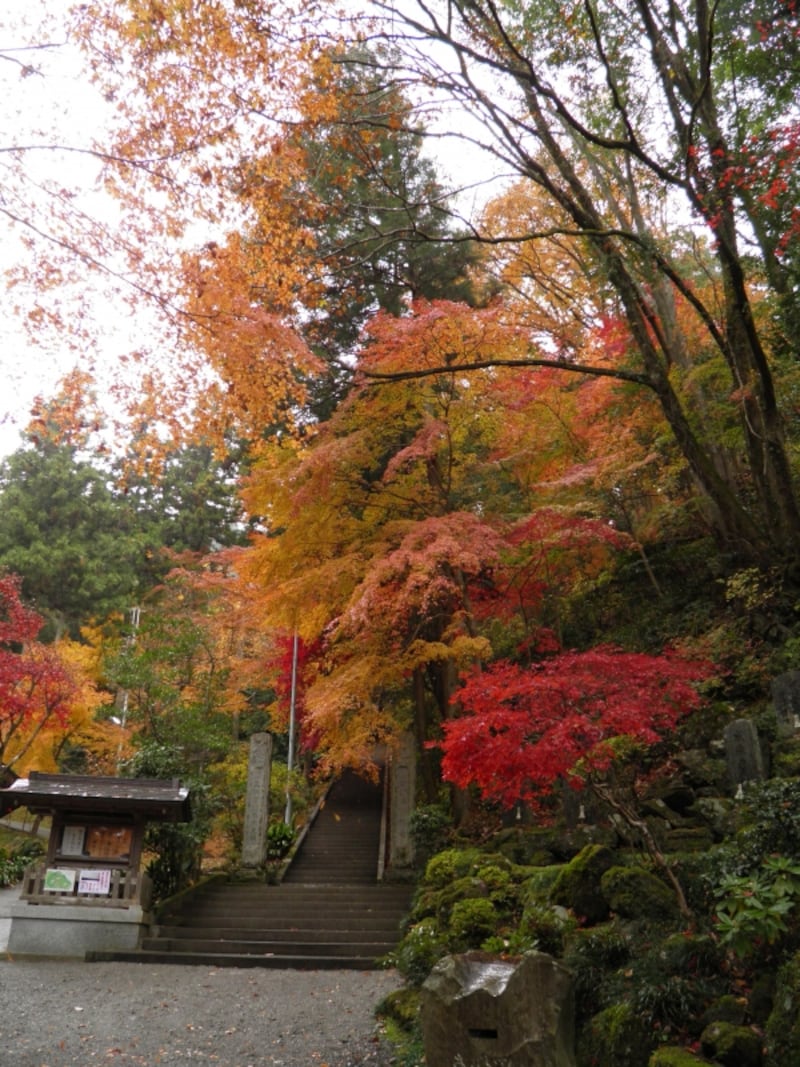 御嶽神社東郷公園の紅葉
