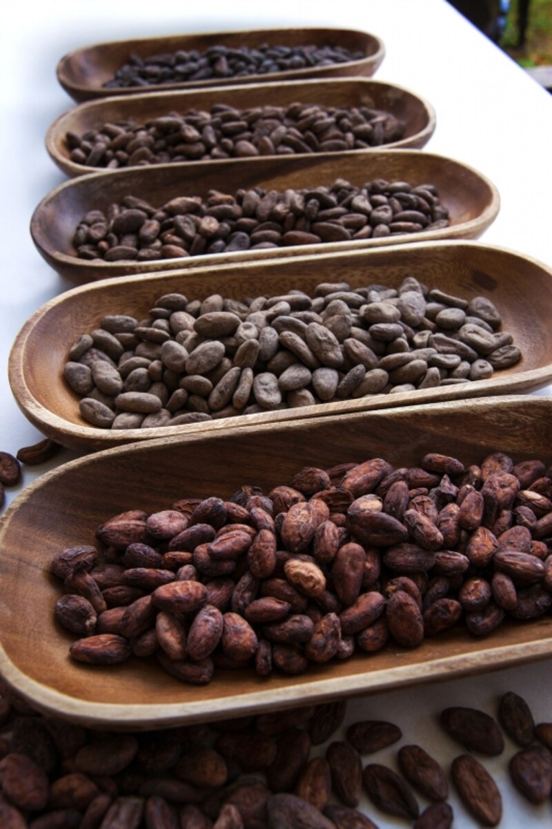 世界中から集まるカカオ豆