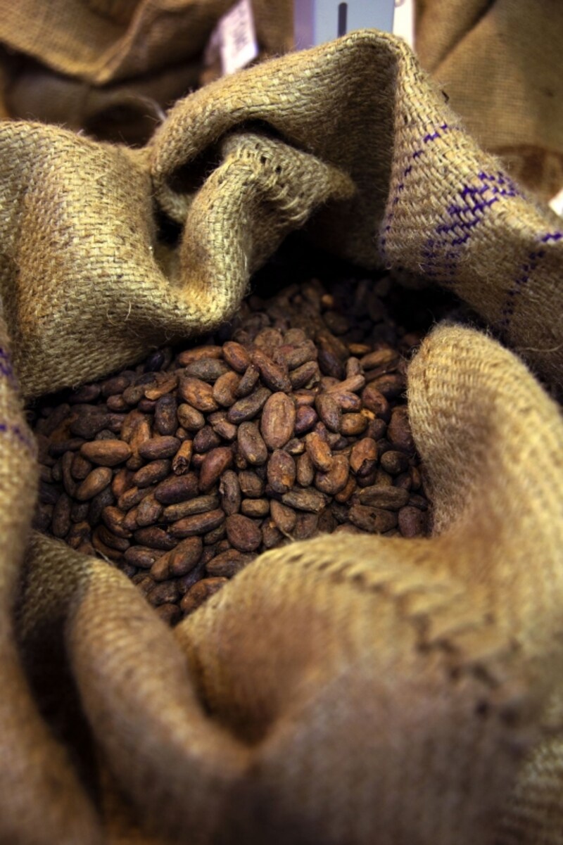 世界中から清里にカカオ豆が届く