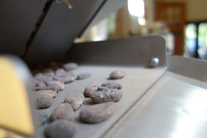 朝の光の中のアトリエ