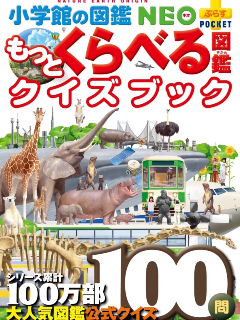 表紙写真