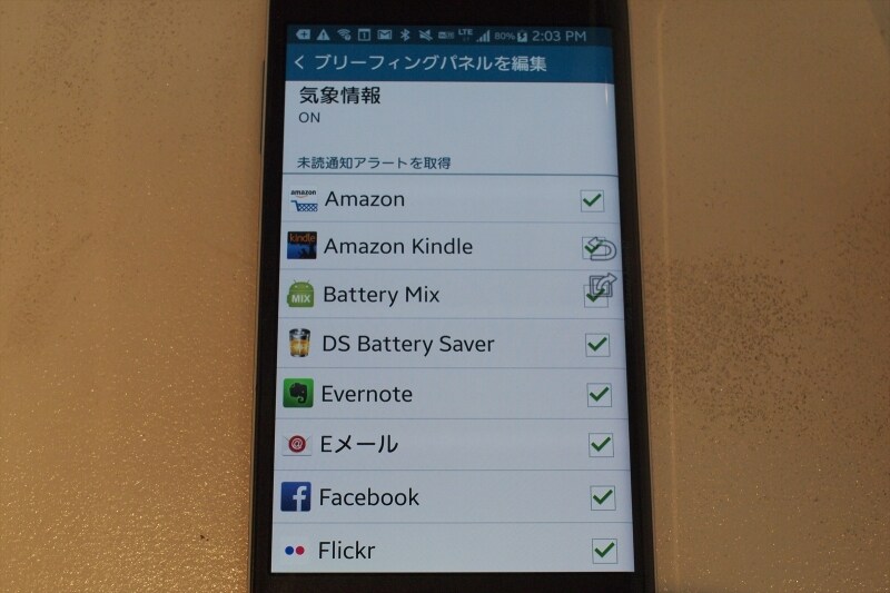 ブリーフィングパネル