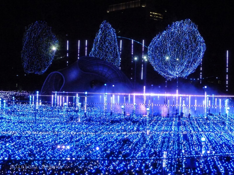 LEDイルミネーション