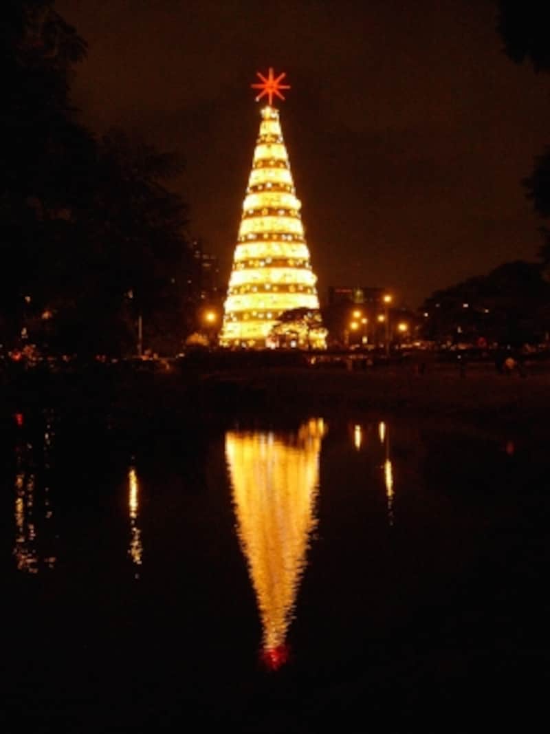 Ibirapuera christmas tree