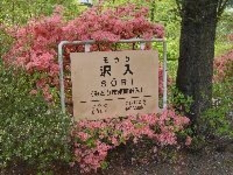 花に囲まれた沢入(そうり)駅