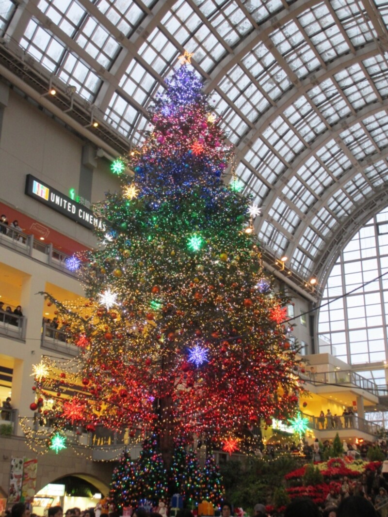 札幌ファクトリーのツリー