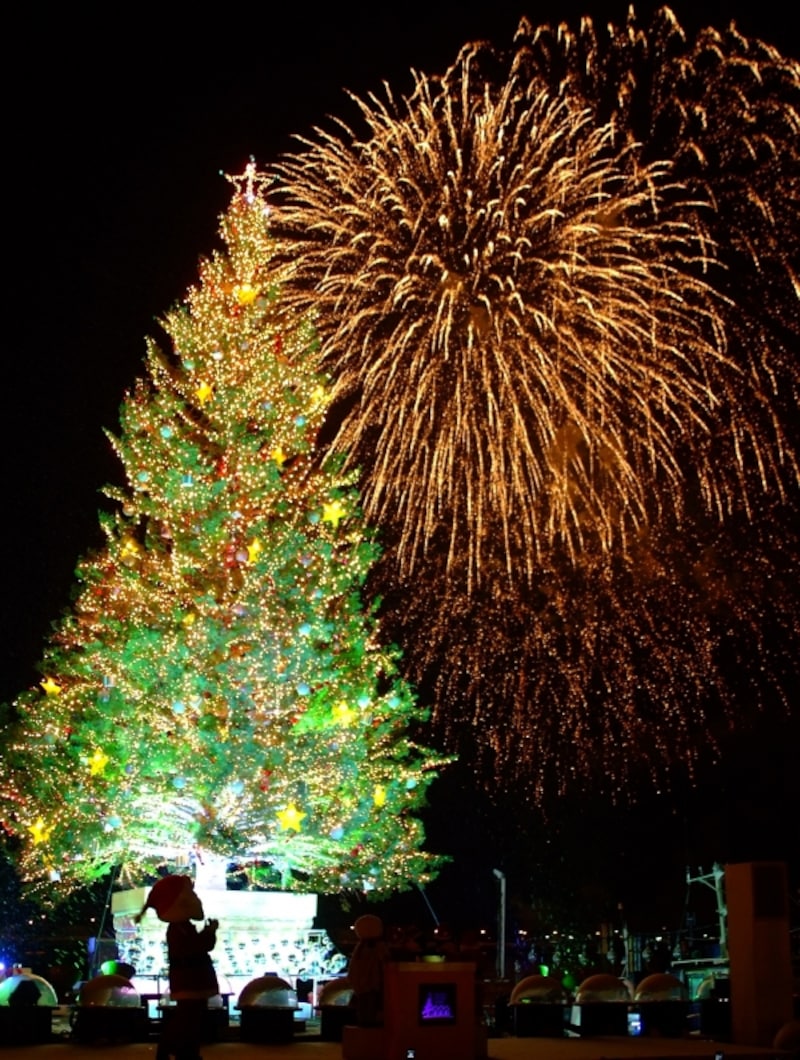 はこだてクリスマスファンタジー