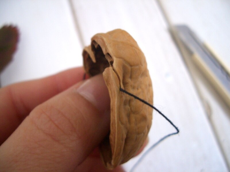 くるみの割れ目を利用