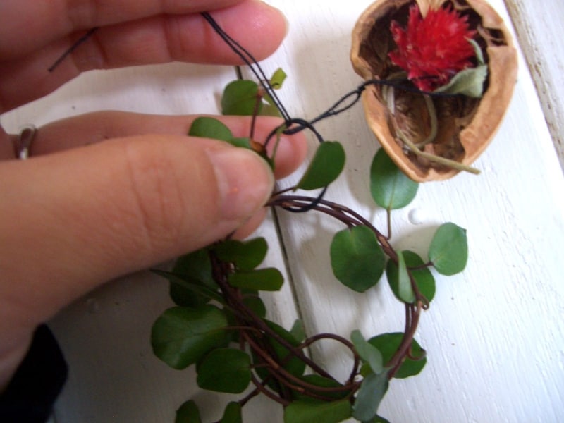 植物の輪に結びつける