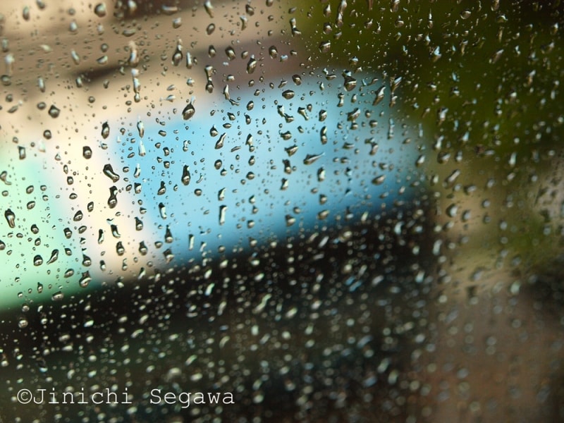 ガラス越しに撮影