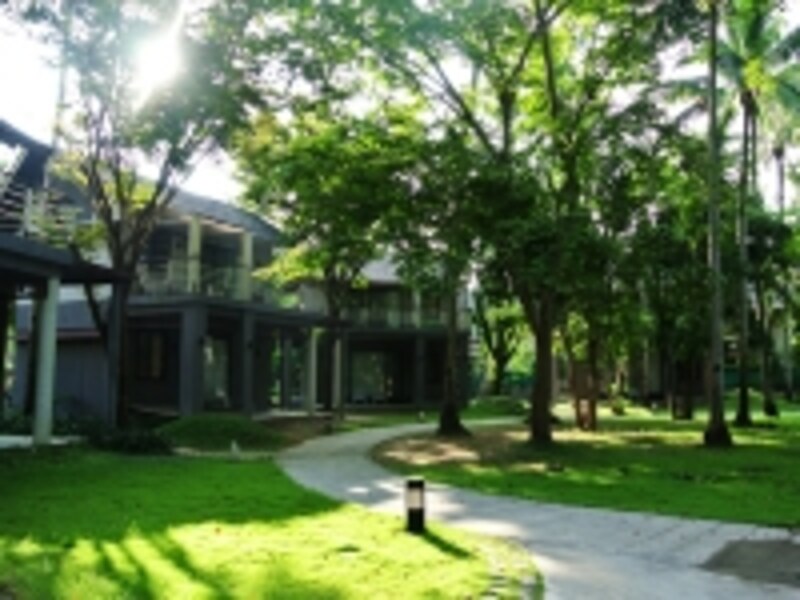 ツインロータス・コ・ランタ