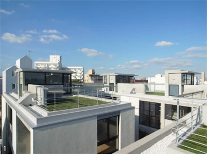 屋上
            