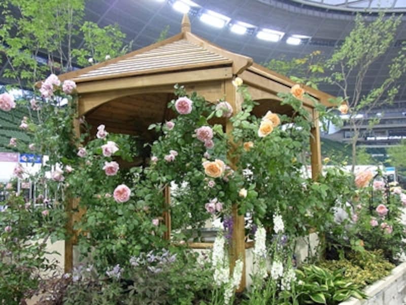 「かおりめぐる庭~フレンチローズと香りの植物~」