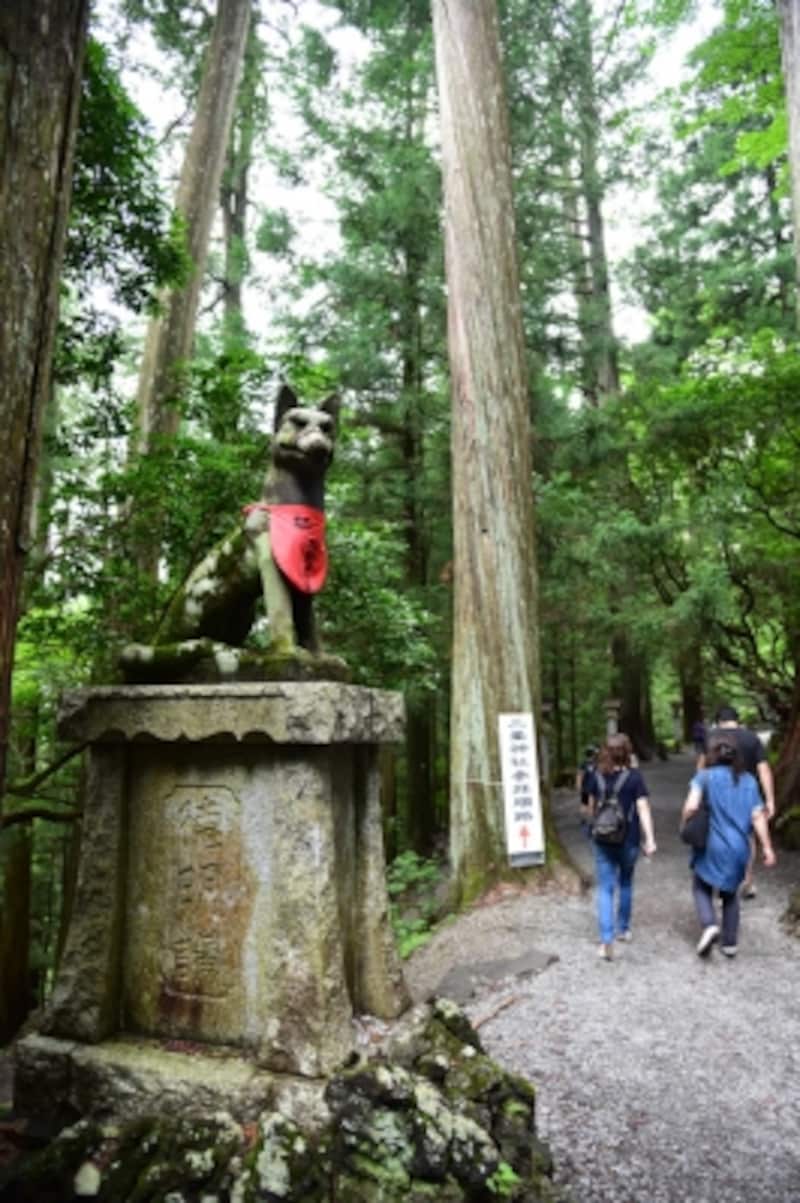 境内のあちこちで見かけるオオカミ(御眷属さま)の像