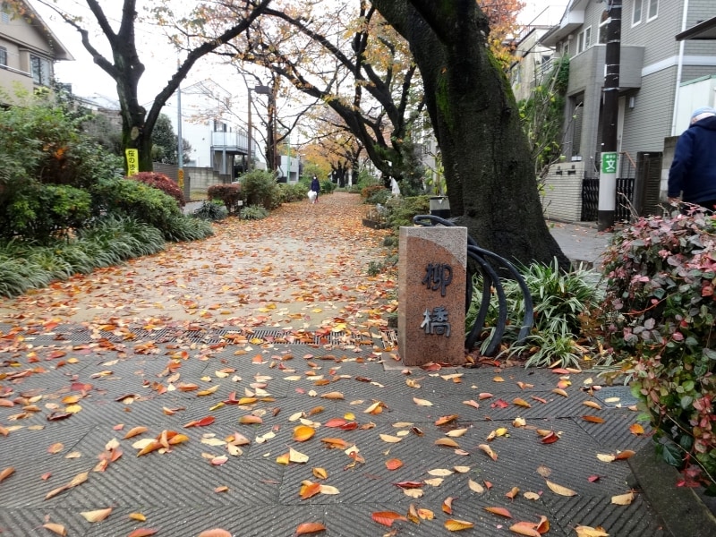 次の橋は目黒区になる