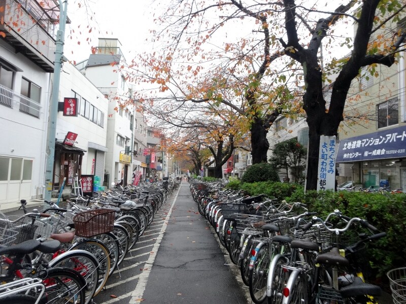 緑道が自転車置き場になっている