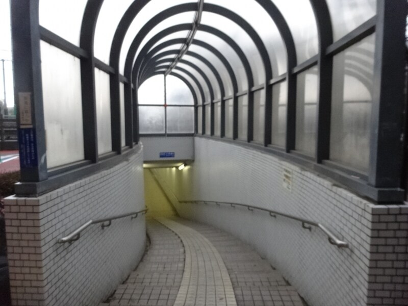 わくわくするような道だ