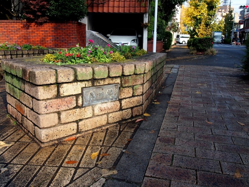 ここから先は呑川の上を歩く緑道になる