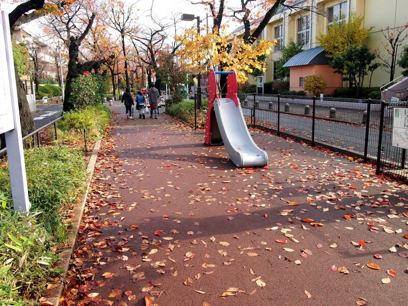小さいお子さんと歩いても楽しい散歩道だ