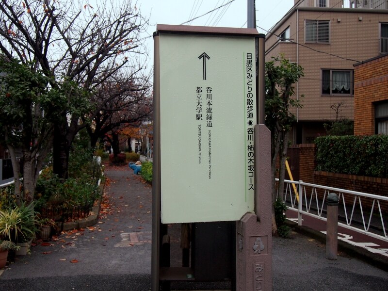 この先に都立大学の駅があるのだそうだ