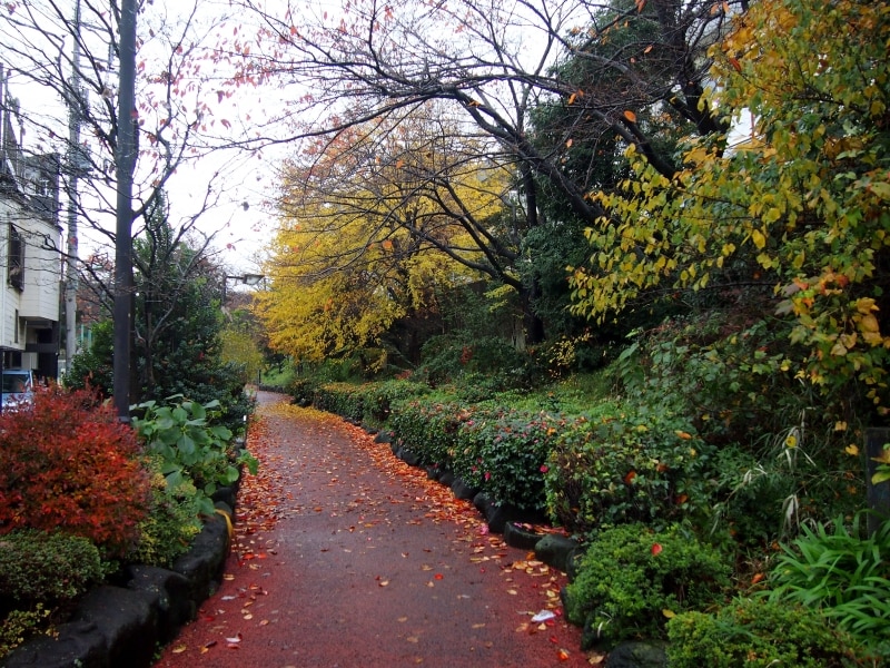 こんな景色が続いている