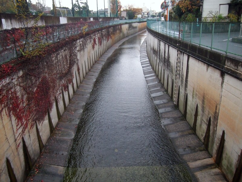 自分が川の上を歩いてきたんだと実感する