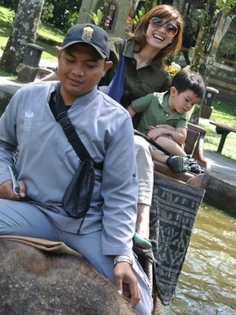 1泊2日間ずっと象づくし！