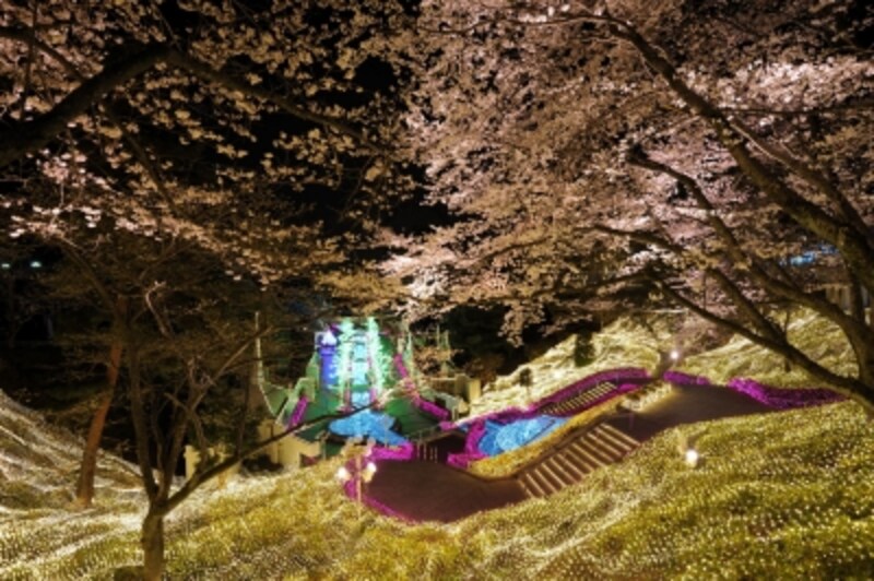 西武園ゆうえんち イルミージュ 千本桜と光のショー 夜景 イルミネーション All About 西武園ゆうえんち イルミージュ 千本桜と光のショー 夜景 イルミネーション All About