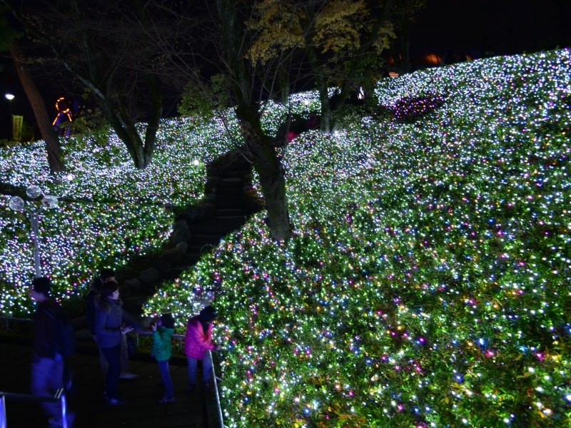 光の中を歩くイルミステア