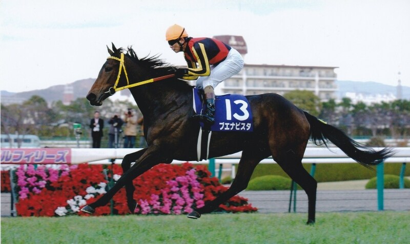 2/2 12月の注目レース ～1年の締めくくりは有馬記念で～ [競馬