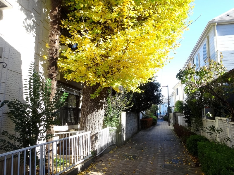 いったいいつからここに立っているのだろう