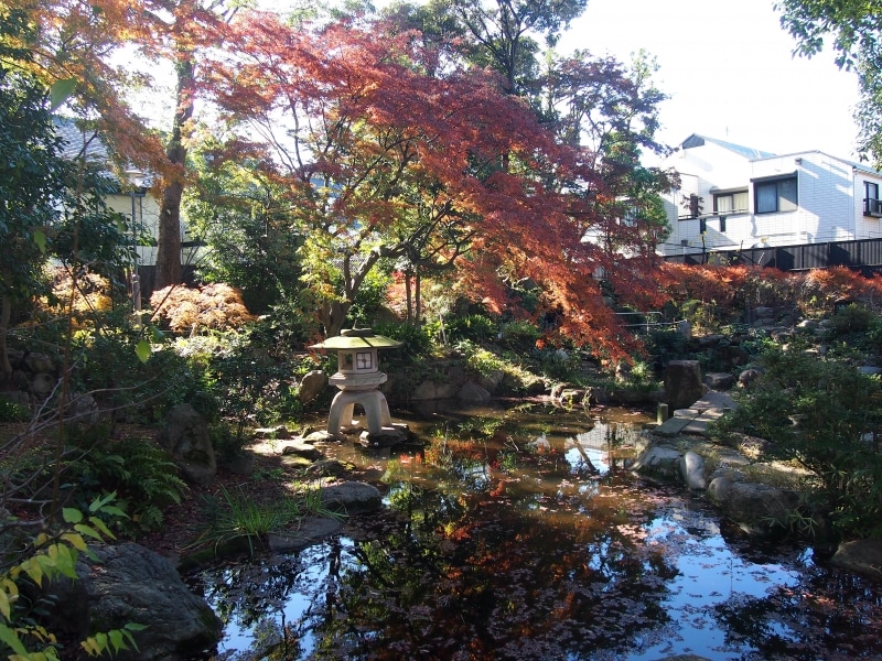 かつてここに桃園川の水源があった