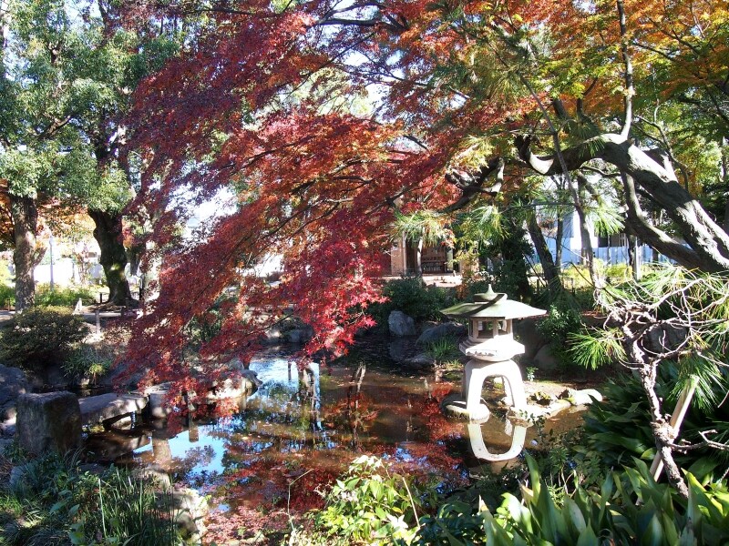 かつてこの場所にあった弁天池には湧き水があった