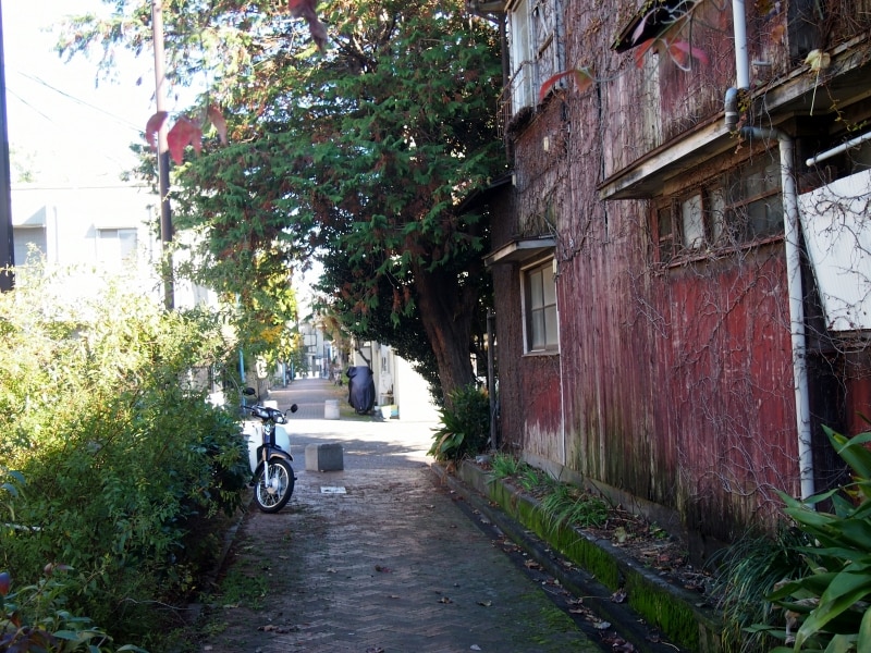 なんともワイルドな光景だ